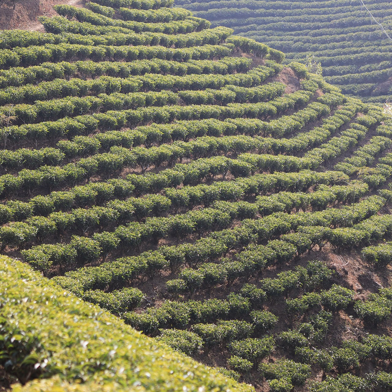 朧雲 雲透 〜KUMOSUKI〜